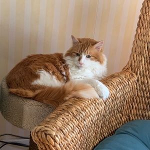 Meet your Posher, Susan